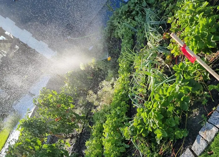 Wczasy Nad Odra Casa de Férias